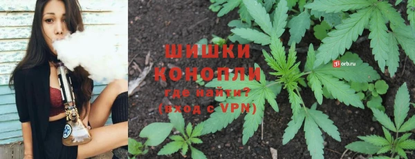apvp Арсеньев