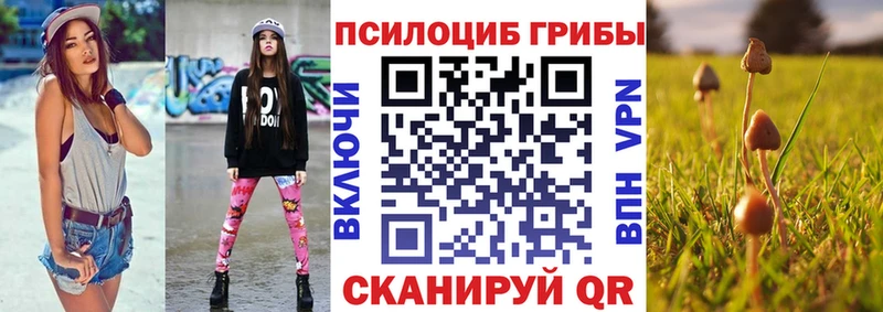 что такое наркотик  Рыбное  Псилоцибиновые грибы Magic Shrooms 